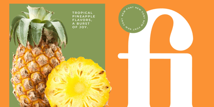 Sunday Ginger Font Poster 13