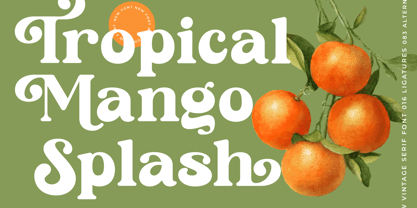 Sunday Ginger Font Poster 2