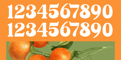 Sunday Ginger Font Poster 12