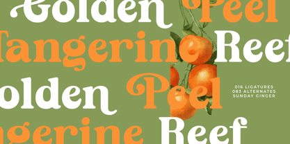 Sunday Ginger Font Poster 10