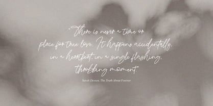 Bathire Signature Font Poster 5