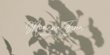 Bathire Signature Font Poster 7