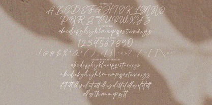 Bathire Signature Font Poster 6