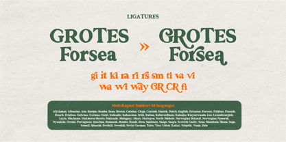 Granier Crown Font Poster 6