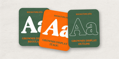 Granier Crown Font Poster 4