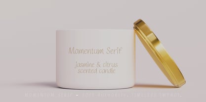 Momentum Serif Font Poster 5