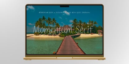 Momentum Serif Font Poster 6