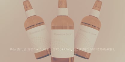 Momentum Serif Font Poster 3