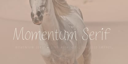 Momentum Serif Font Poster 7