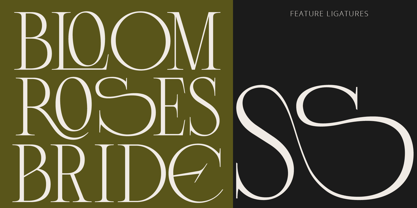 Lunoriels Font Poster 2