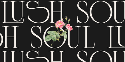 Lunoriels Font Poster 4