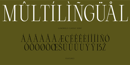 Lunoriels Font Poster 14