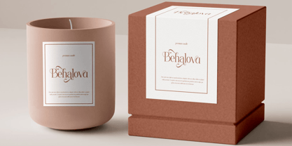 Ficoria Font Poster 8