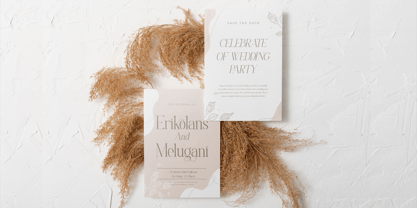 Ficoria Font Poster 5