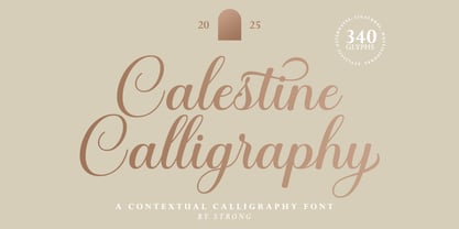 Calestine Calligraphy Font Poster 8