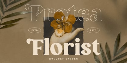 Righty Font Poster 8