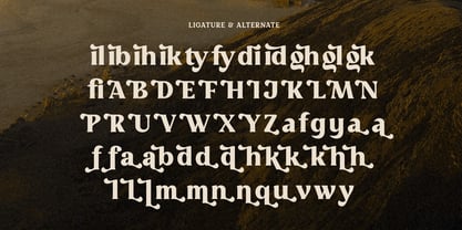 Righty Font Poster 9