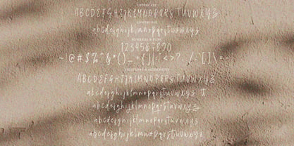 Demirah Signature Font Poster 7