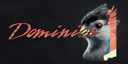 Phantom Beauty Font Poster 6