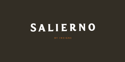 Salierno Font Poster 7