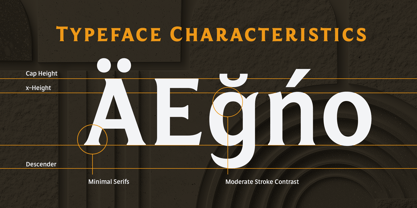 Salierno Font Poster 15