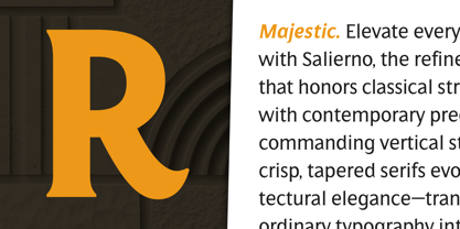 Salierno Font Poster 2