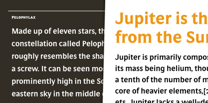 Salierno Font Poster 14