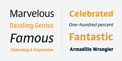 Salierno Font Poster 13