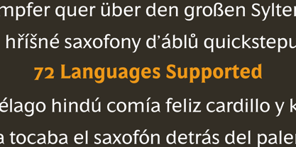 Salierno Font Poster 9