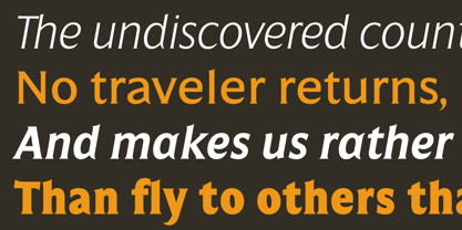 Salierno Font Poster 10