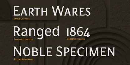 Salierno Font Poster 12