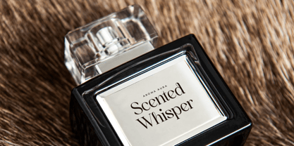 Melodies Constellation Font Poster 5