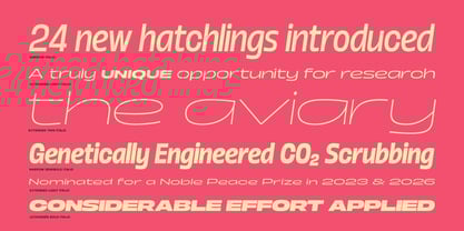 Boom Sans Font Poster 3