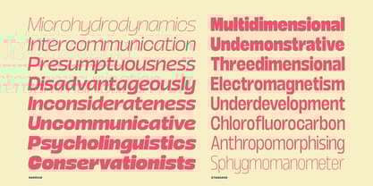 Boom Sans Font Poster 6