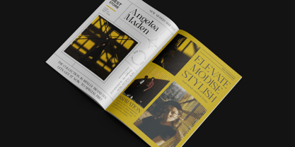 Veriona Font Poster 9