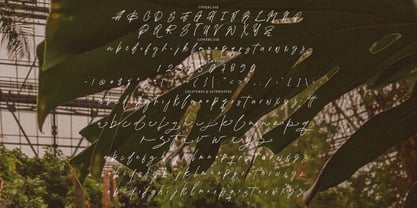 Qikabey Signature Font Poster 4