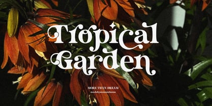 More Than Dream Font Poster 8