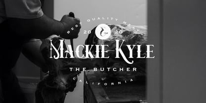 Bristol maver Font Poster 4