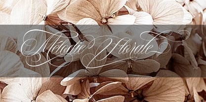 Ms Thalassa Font Poster 7