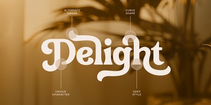 Morning Day Font Poster 13