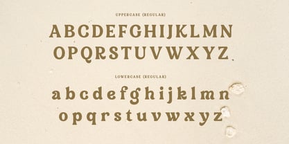 Morning Day Font Poster 9