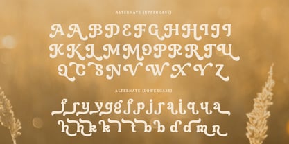 Morning Day Font Poster 8
