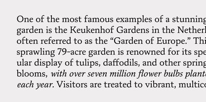 Artikan Font Poster 5