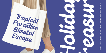 Sounds Analog Font Poster 7