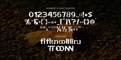 Etternal Font Poster 4