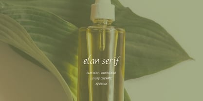 Elan Serif Font Poster 4