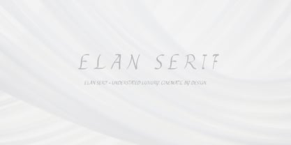 Elan Serif Font Poster 2