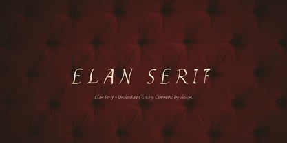 Elan Serif Font Poster 7