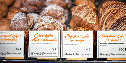 Withstood Font Poster 11