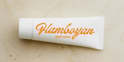 Withstood Font Poster 9